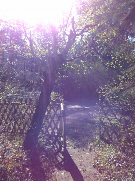 IMG_20170409_152554