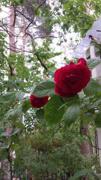 WhatsApp-Image-2021-01-31-at-16.51.24